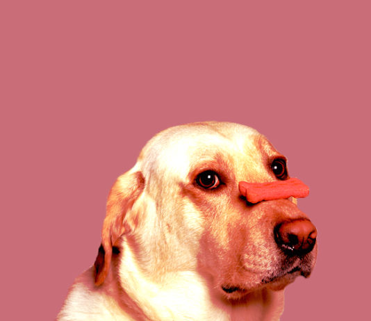 The Self-Control Secret No One is Talking About