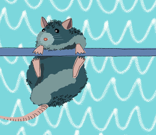 Can You Force Someone To Be Healthier?