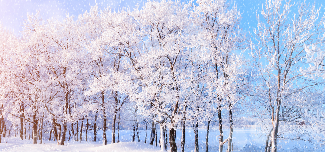 seasonal affective disorder