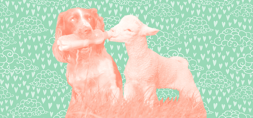 #RandomActsOfKindnessDay