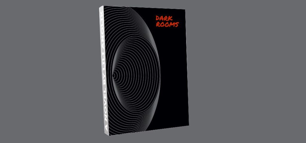 Dark Rooms - A Novel by Lili Anolik