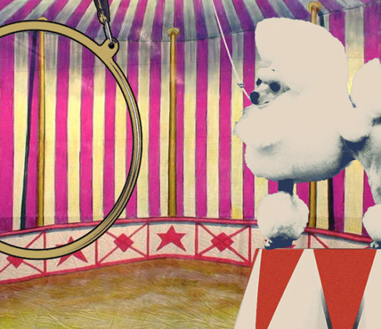 Is It Too Late For Change?