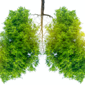 Here Is One Thing You Can Do Right Now to Reduce Stress and Boost Your Mood