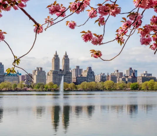 Harness the Science of the “Fresh Start Effect” to Help You Reach Your Goals