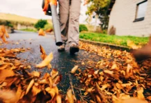 The Leaf Blower Mindset