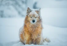 Doing Less Might Be Exactly What You Need Right Now